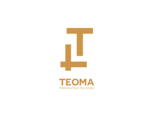 Teoma logo